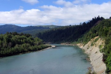 Sacramento River Fishing