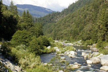 Sacramento River Fishing