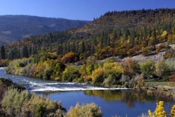 Sacramento River Fishing