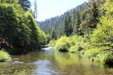 Sacramento River Fishing