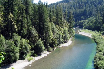 Sacramento River Fishing