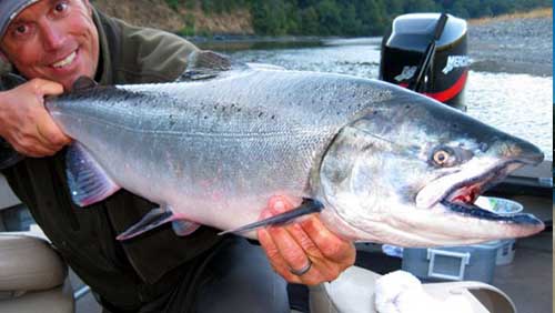 Sacramento River Salmon Fishing Reports