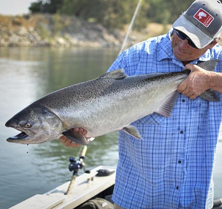 Sacramento River Salmon Guide Redding