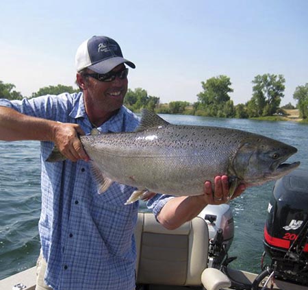 Sacramento King Salmon