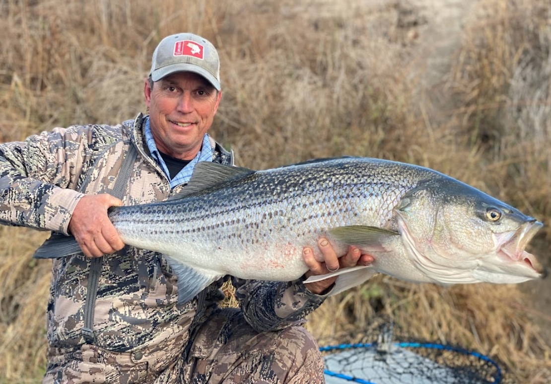 feather river striped bass fishing charter