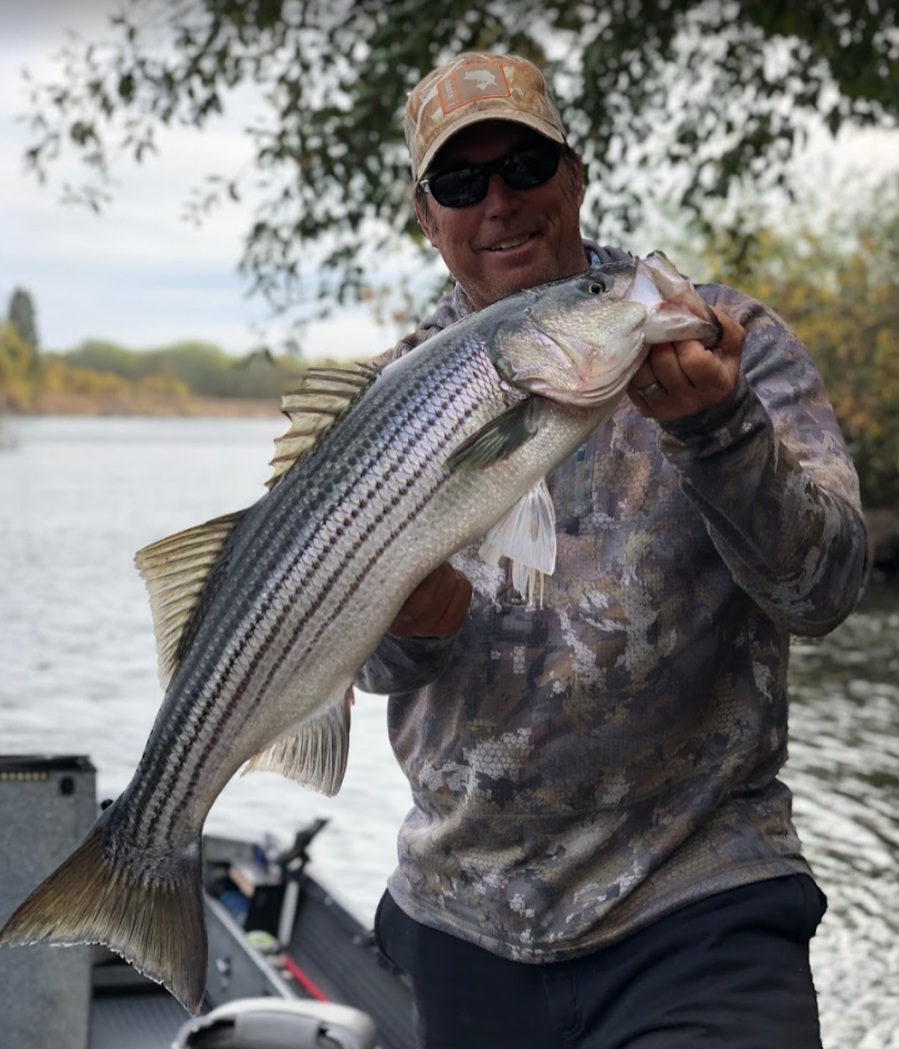 sacramento river striped bass fishing trips